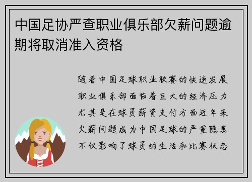 中国足协严查职业俱乐部欠薪问题逾期将取消准入资格